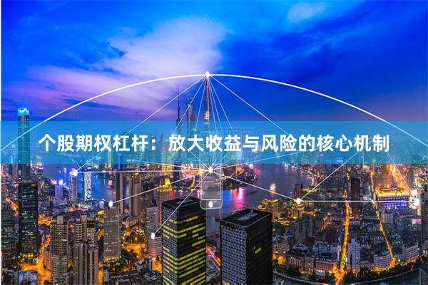 个股期权杠杆：放大收益与风险的核心机制