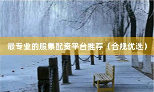最专业的股票配资平台推荐（合规优选）