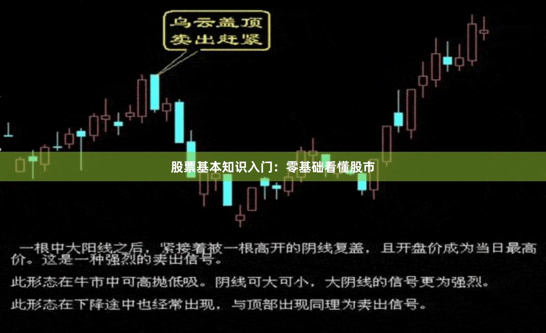 股票基本知识入门：零基础看懂股市